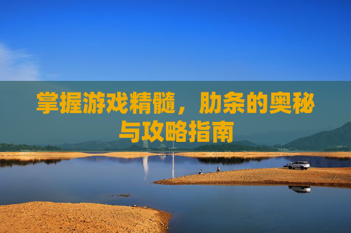 掌握游戏精髓，肋条的奥秘与攻略指南