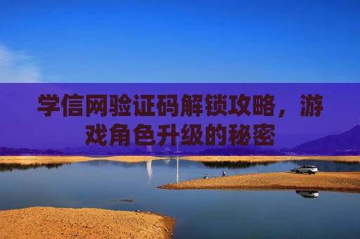 学信网验证码解锁攻略，游戏角色升级的秘密