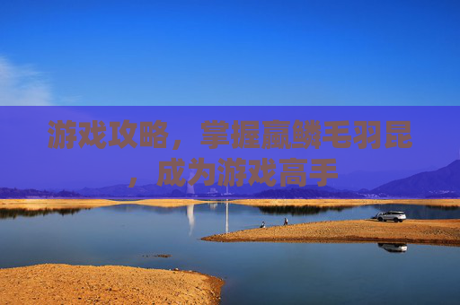 游戏攻略，掌握蠃鳞毛羽昆，成为游戏高手