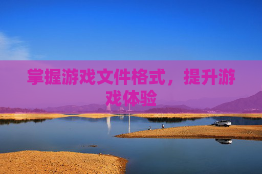 掌握游戏文件格式，提升游戏体验