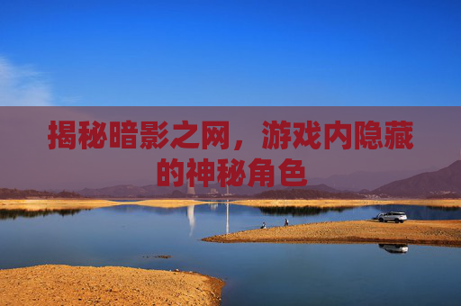 揭秘暗影之网，游戏内隐藏的神秘角色