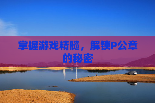 掌握游戏精髓，解锁P公章的秘密