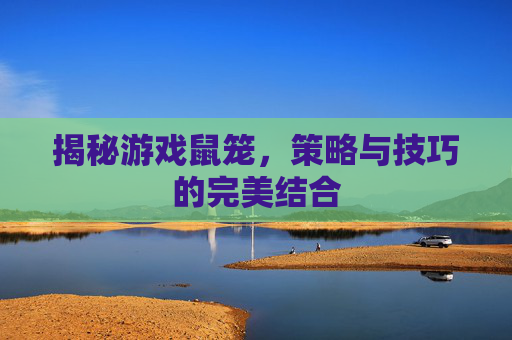 揭秘游戏鼠笼，策略与技巧的完美结合