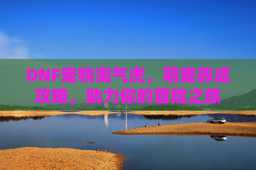DNF宠物淘气虎,萌宠养成攻略,助力你的冒险之旅 DNF宠物淘气虎,萌宠养成攻略,助力你的冒险之旅