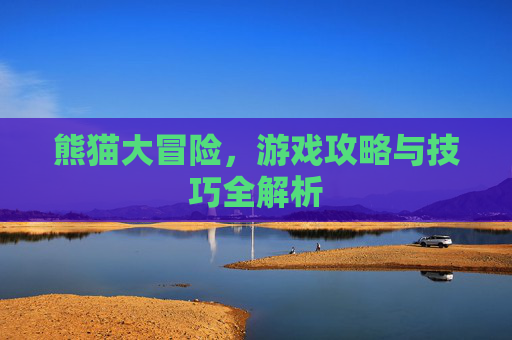 熊猫大冒险，游戏攻略与技巧全解析