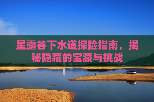 星露谷下水道探险指南，揭秘隐藏的宝藏与挑战