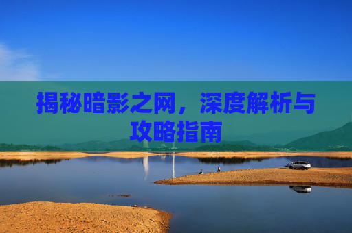 揭秘暗影之网，深度解析与攻略指南