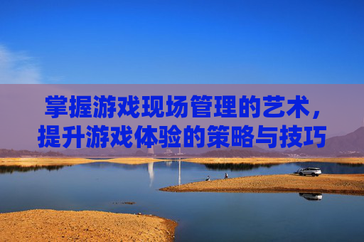 掌握游戏现场管理的艺术，提升游戏体验的策略与技巧