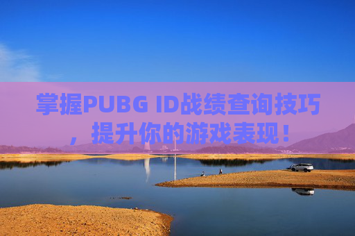 掌握PUBG ID战绩查询技巧，提升你的游戏表现！