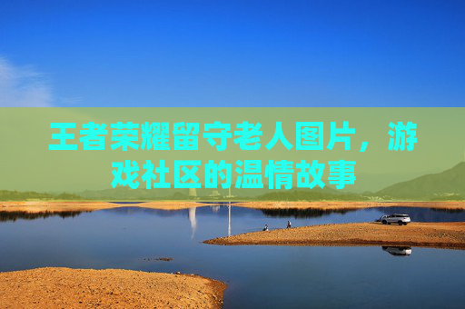 王者荣耀留守老人图片，游戏社区的温情故事