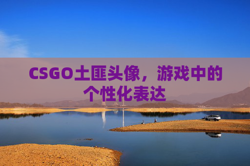 CSGO土匪头像，游戏中的个性化表达