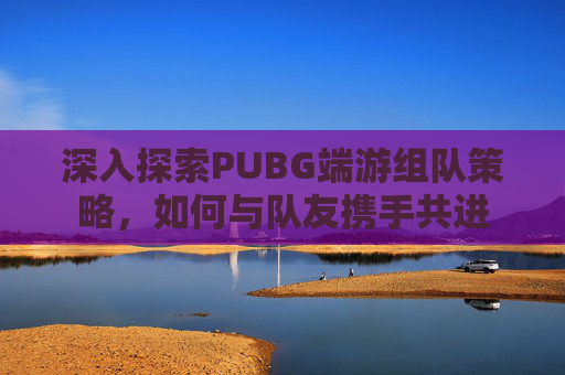深入探索PUBG端游组队策略，如何与队友携手共进