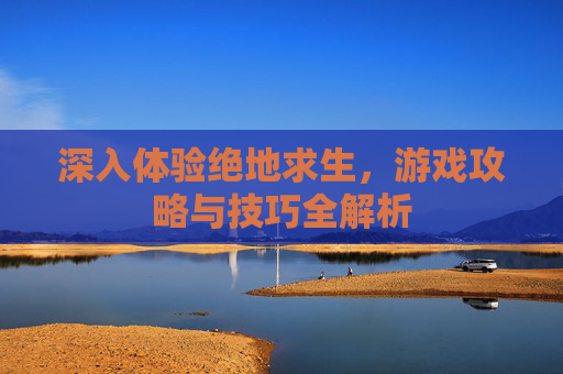 深入体验绝地求生，游戏攻略与技巧全解析