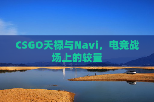 CSGO天禄与Navi，电竞战场上的较量