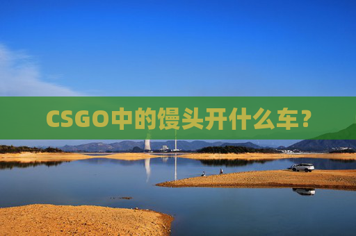 CSGO中的馒头开什么车？
