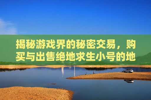 揭秘游戏界的秘密交易，购买与出售绝地求生小号的地下市场