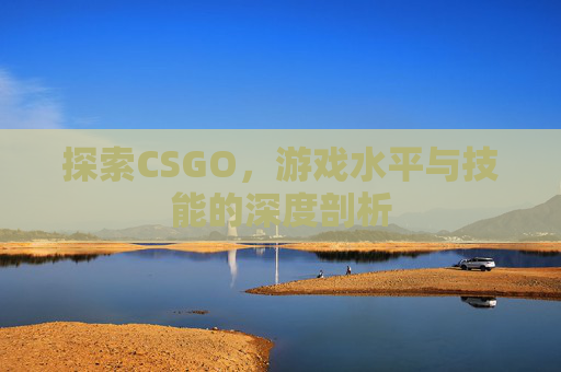探索CSGO，游戏水平与技能的深度剖析