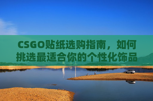 CSGO贴纸选购指南，如何挑选最适合你的个性化饰品