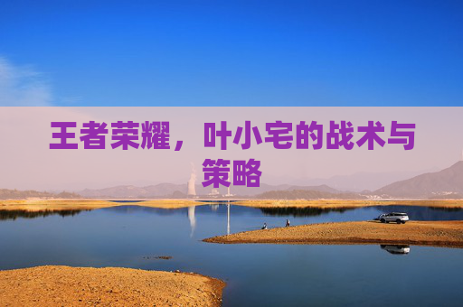 王者荣耀，叶小宅的战术与策略