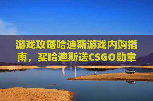 游戏攻略哈迪斯游戏内购指南，买哈迪斯送CSGO勋章？