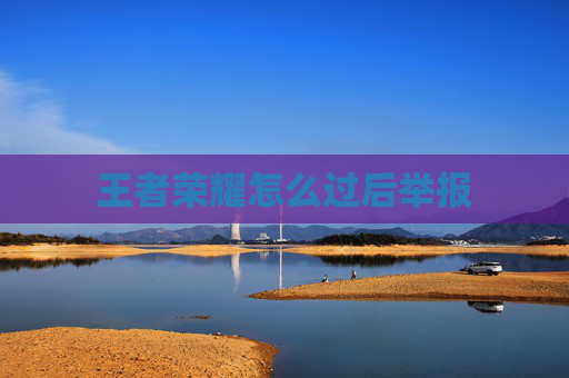 王者荣耀怎么过后举报
