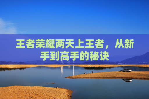 王者荣耀两天上王者，从新手到高手的秘诀