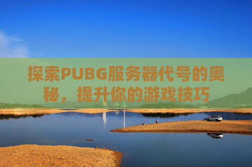 探索PUBG服务器代号的奥秘，提升你的游戏技巧