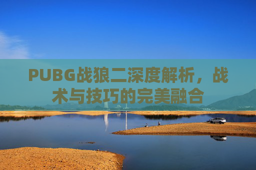 PUBG战狼二深度解析，战术与技巧的完美融合