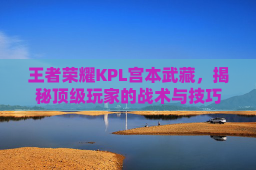 王者荣耀KPL宫本武藏，揭秘顶级玩家的战术与技巧