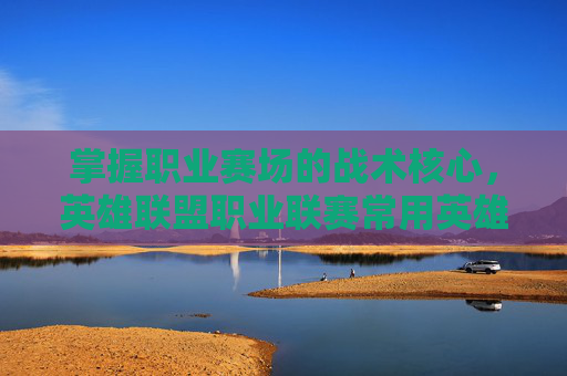 掌握职业赛场的战术核心，英雄联盟职业联赛常用英雄深度解析