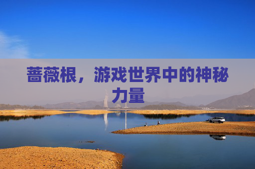 蔷薇根，游戏世界中的神秘力量