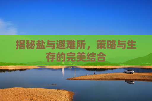 揭秘盐与避难所,策略与生存的完美结合 揭秘盐与避难所,策略与生存的完美结合
