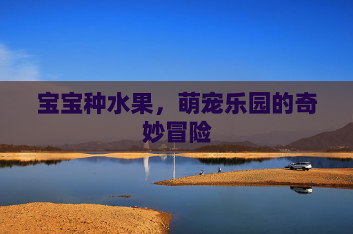 宝宝种水果，萌宠乐园的奇妙冒险