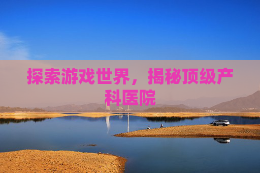 探索游戏世界，揭秘顶级产科医院