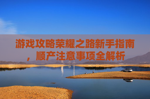 游戏攻略荣耀之路新手指南，顺产注意事项全解析