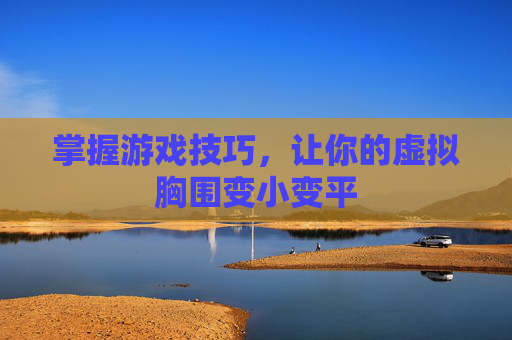 掌握游戏技巧，让你的虚拟胸围变小变平