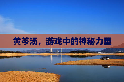 黄芩汤，游戏中的神秘力量