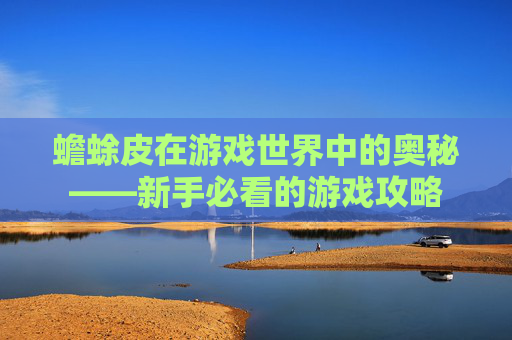 蟾蜍皮在游戏世界中的奥秘——新手必看的游戏攻略