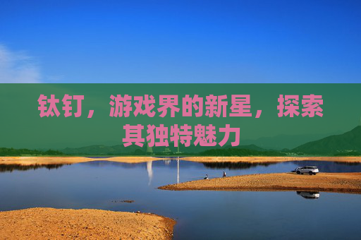 钛钉，游戏界的新星，探索其独特魅力