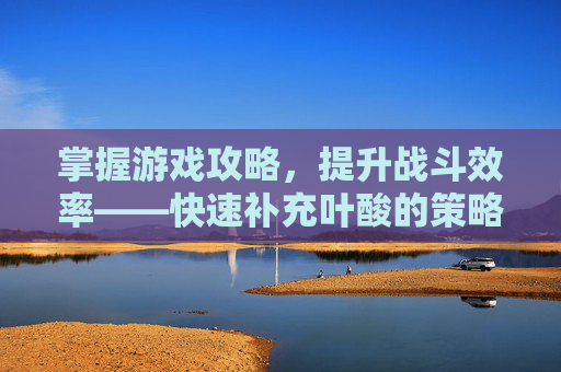 掌握游戏攻略，提升战斗效率——快速补充叶酸的策略