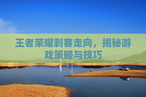 王者荣耀刺客走向，揭秘游戏策略与技巧