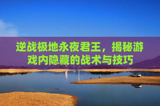 逆战极地永夜君王，揭秘游戏内隐藏的战术与技巧