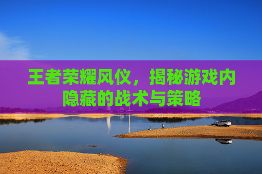 王者荣耀风仪，揭秘游戏内隐藏的战术与策略