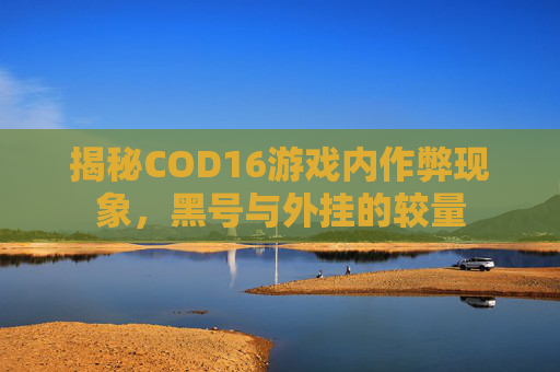 揭秘COD16游戏内作弊现象，黑号与外挂的较量