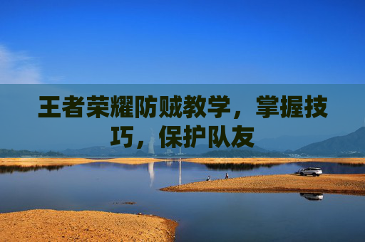 王者荣耀防贼教学，掌握技巧，保护队友