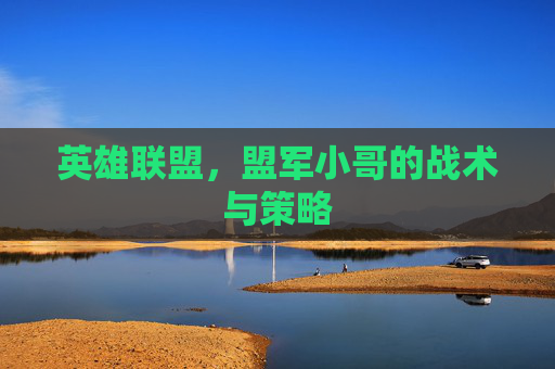 英雄联盟，盟军小哥的战术与策略