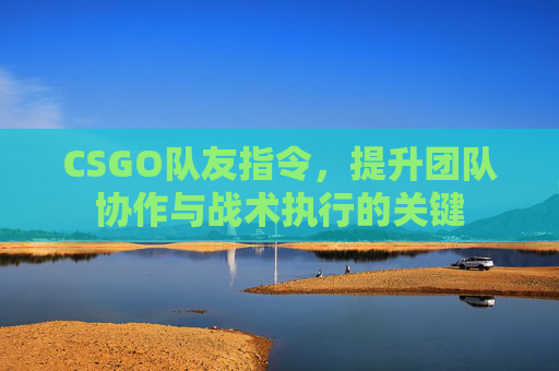 CSGO队友指令，提升团队协作与战术执行的关键