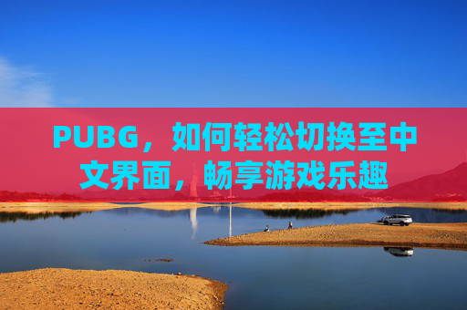 PUBG，如何轻松切换至中文界面，畅享游戏乐趣