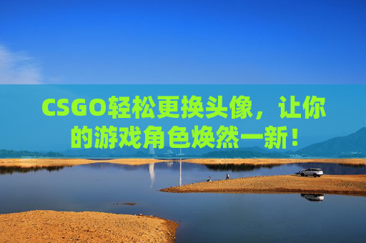 CSGO轻松更换头像，让你的游戏角色焕然一新！