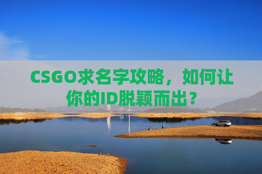 CSGO求名字攻略，如何让你的ID脱颖而出？